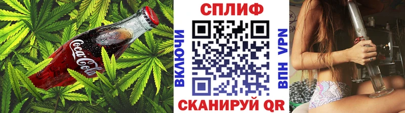 Cannafood конопля  Истра 