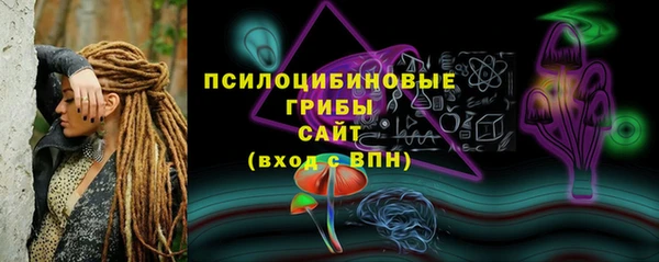 Альфа ПВП Абаза