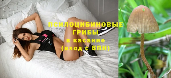 Альфа ПВП Абаза