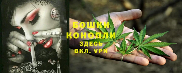 Альфа ПВП Абаза