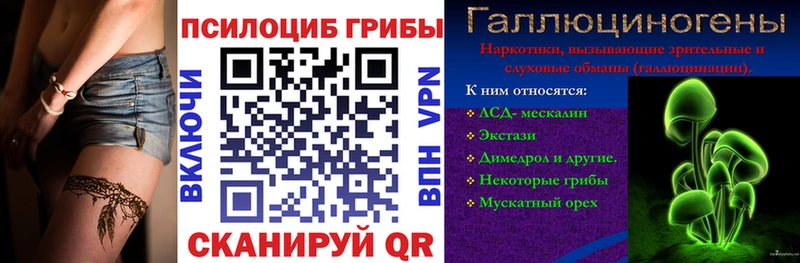 Галлюциногенные грибы мицелий  МЕГА сайт  Истра  где купить  